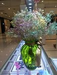 满天星干花