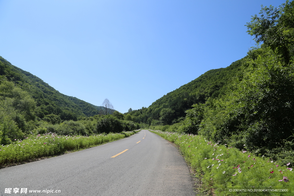 大山风光