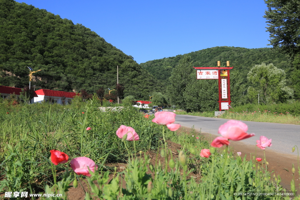 乡村风景