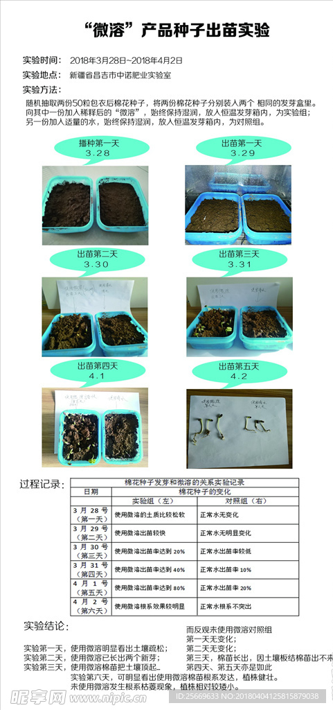 种子发芽实验