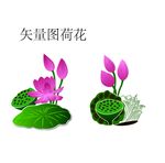 矢量荷花
