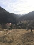 原始山林