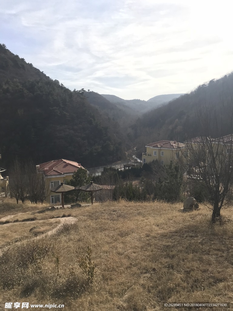 原始山林