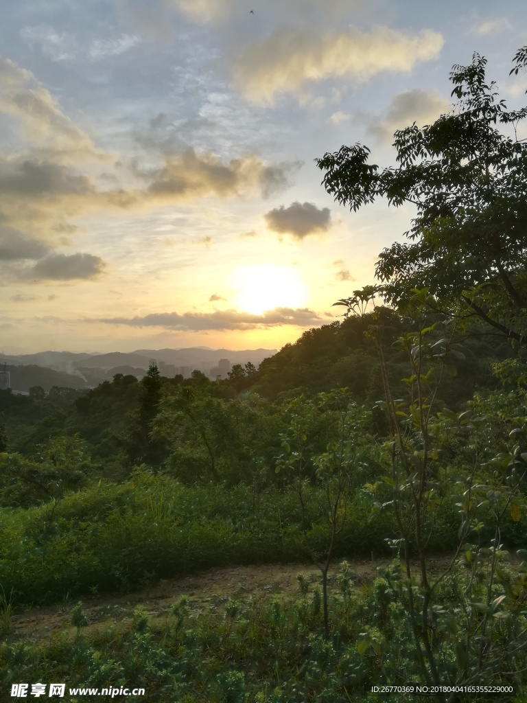 日出