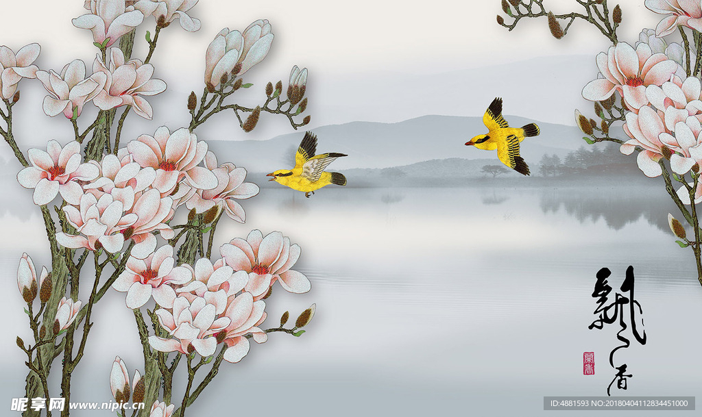 玉兰花
