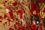 新年
