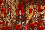 新年