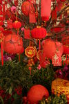 新年