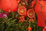 新年装饰