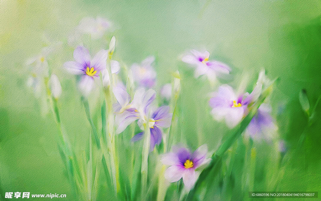 油画花卉欧式风格