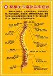 脊椎关节错位临床症状
