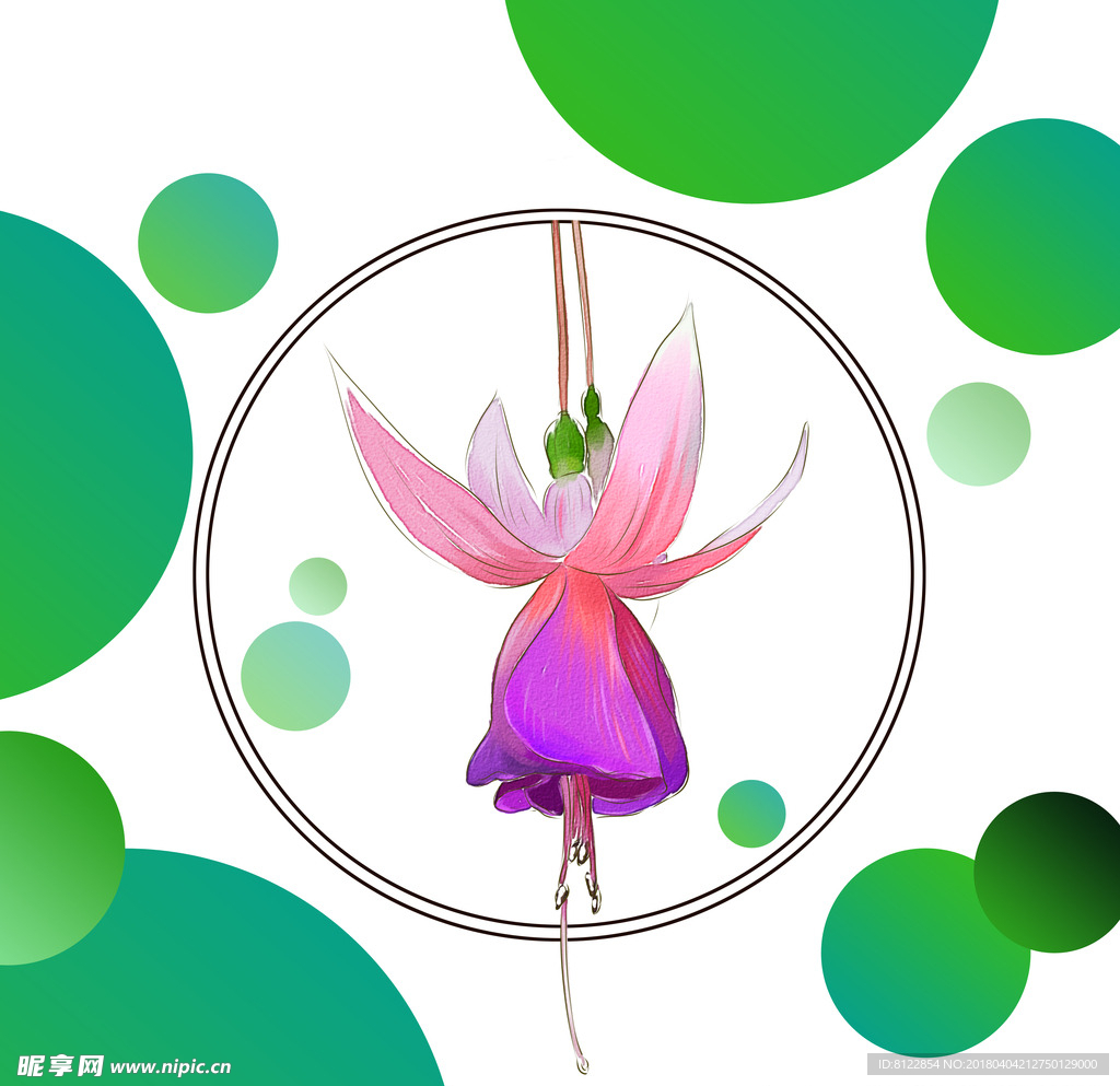 手绘花卉素材