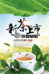 品茶