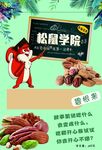 坚果包装