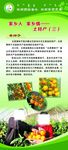 民俗特产