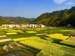 乡村