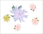 梦幻花朵