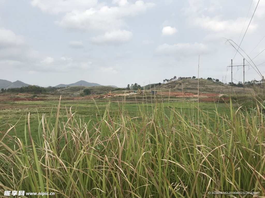 田野 风景