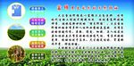 大豆蛋白纤维