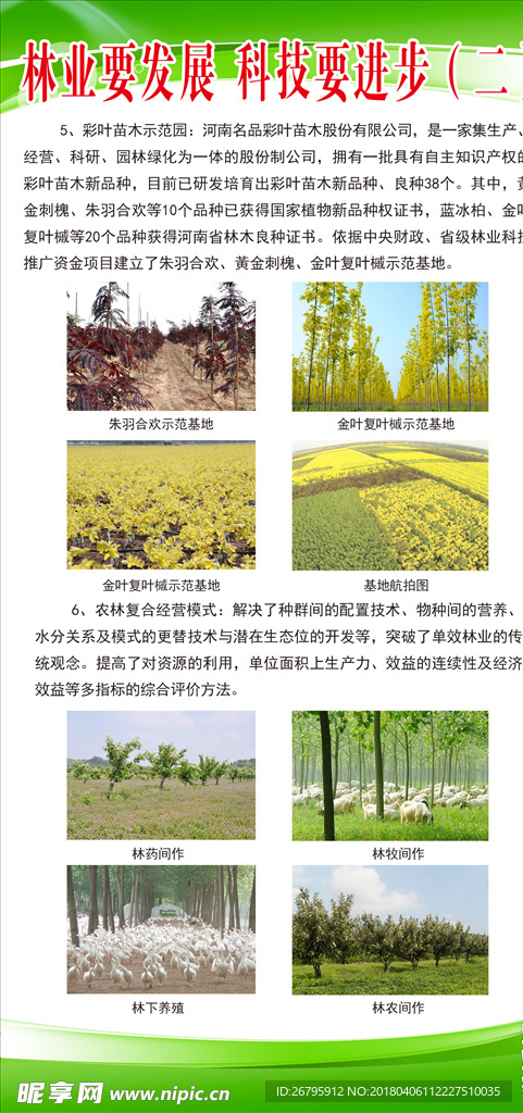林业发展
