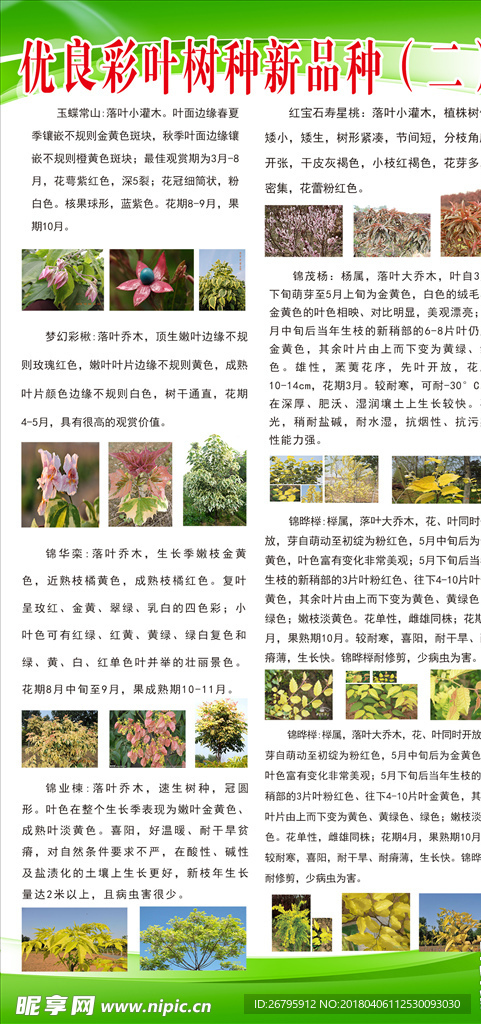 林业