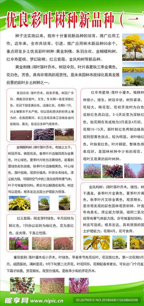 林业发展