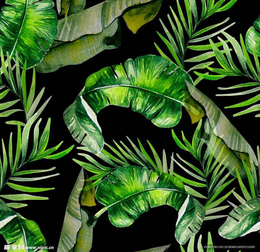 ins热带绿植物叶子网背景图案