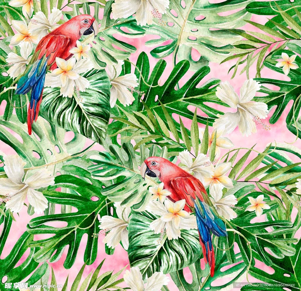 热带绿植物叶子鹦鹉背景图案