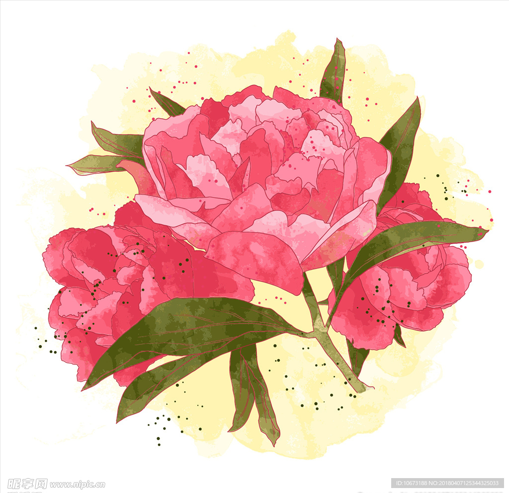 水彩花卉
