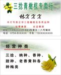 橄榄名片