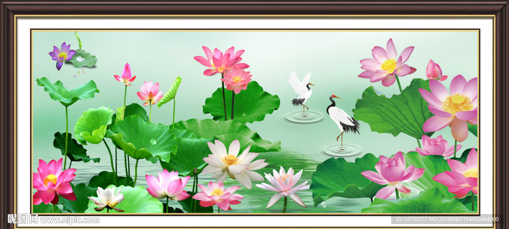 荷花图