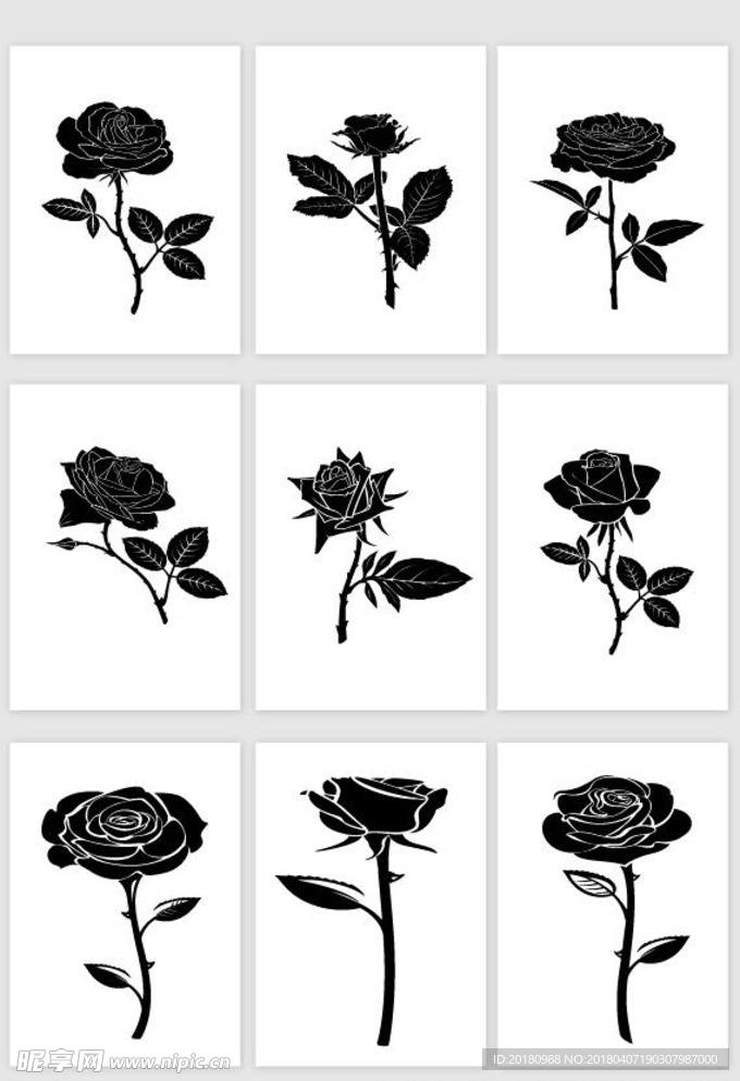 玫瑰花图像