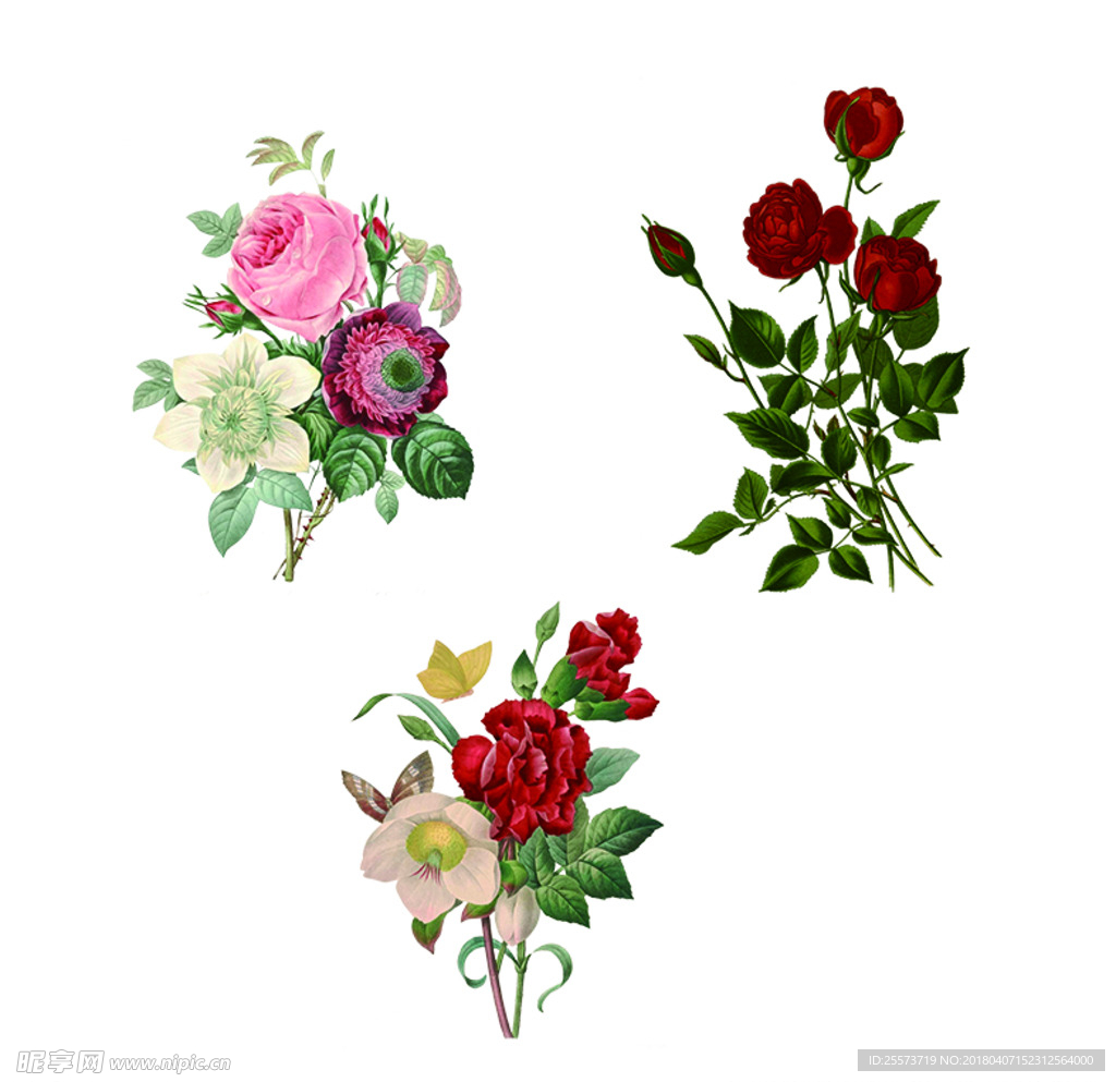 手绘花卉