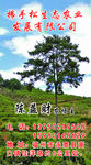 个人名片
