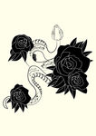 花 蛇