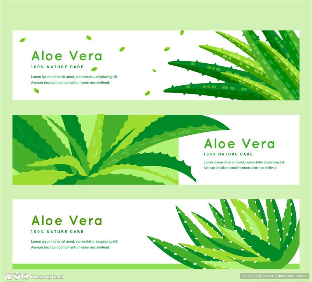 3款彩绘绿色芦荟banner