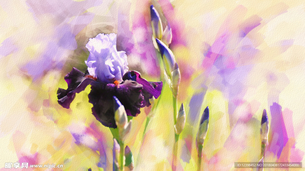 手绘鲜花