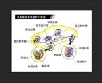 汽车制动器  助力器带制动
