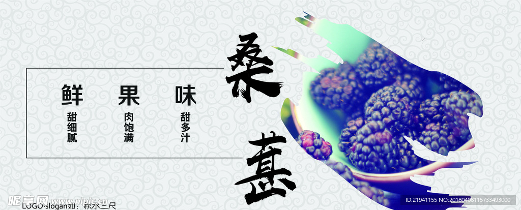 桑葚banner