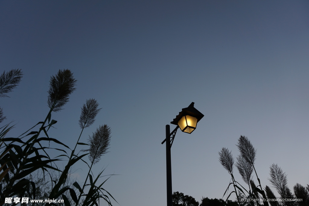 暮色 夜灯
