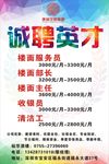 诚聘 招聘 海报 康蓝 招人