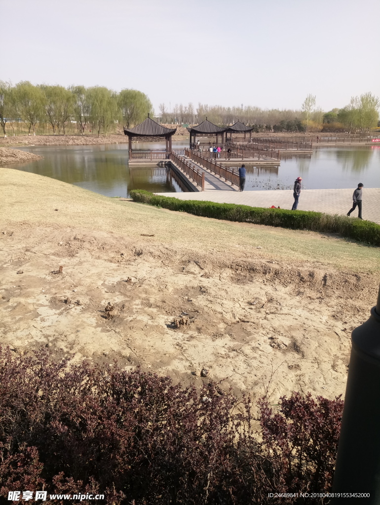 春季公园景观