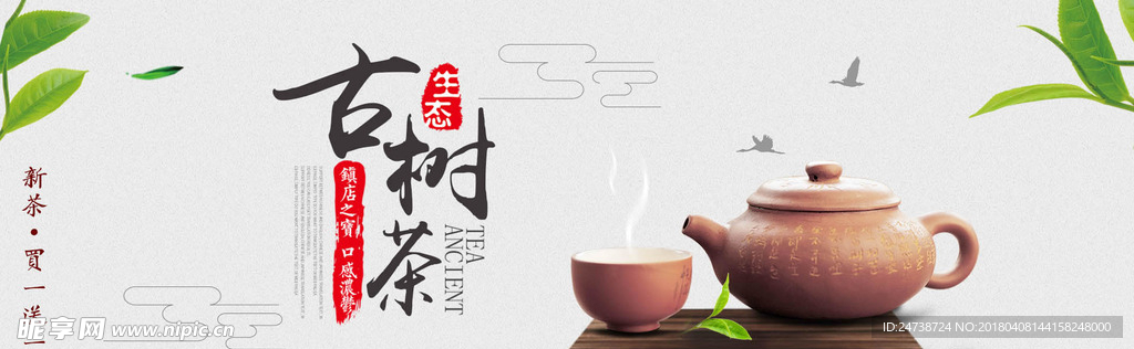 古树茶