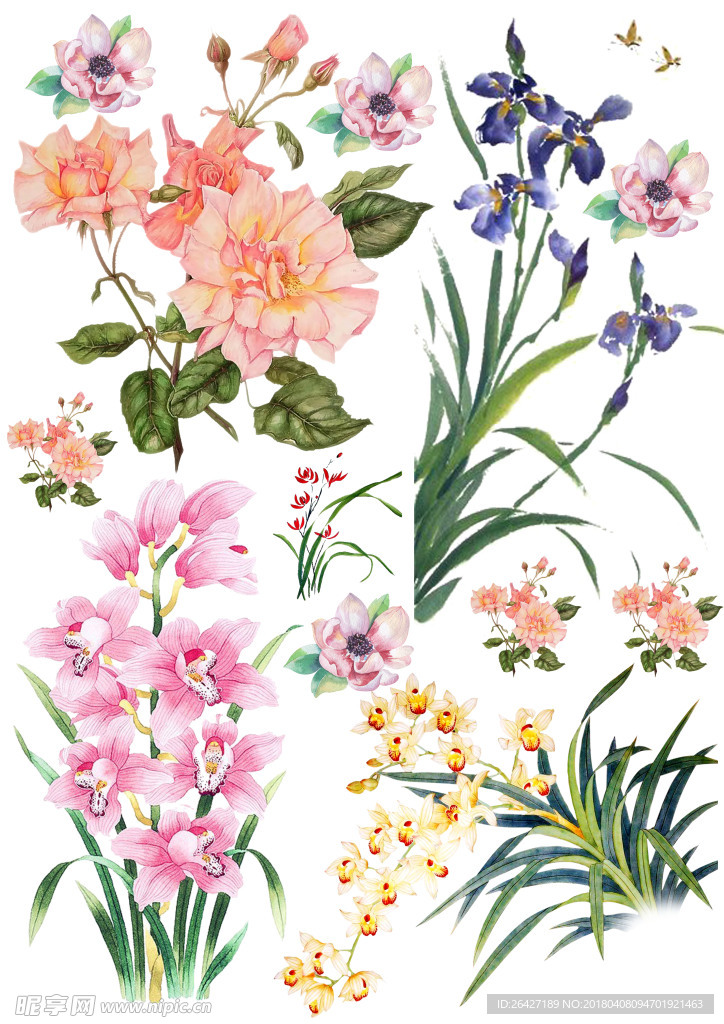 手绘花朵