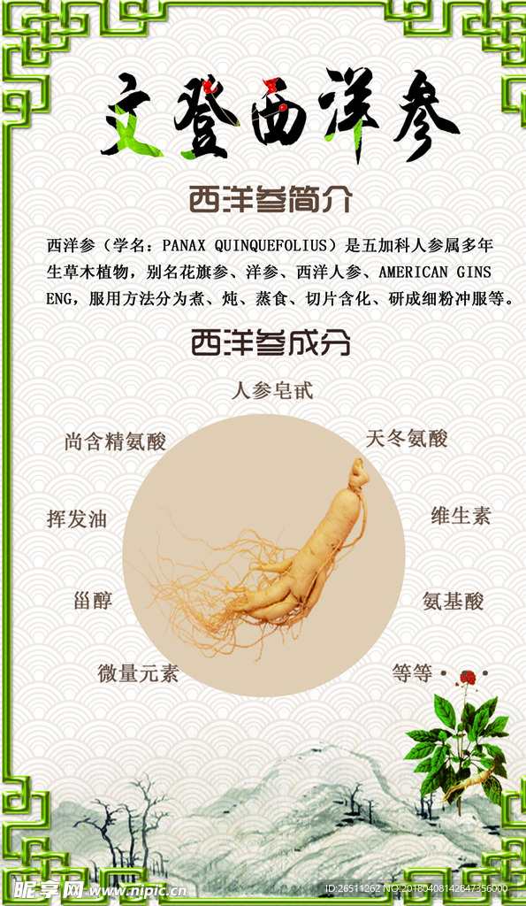 西洋参广告