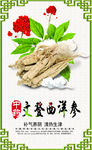 西洋参广告