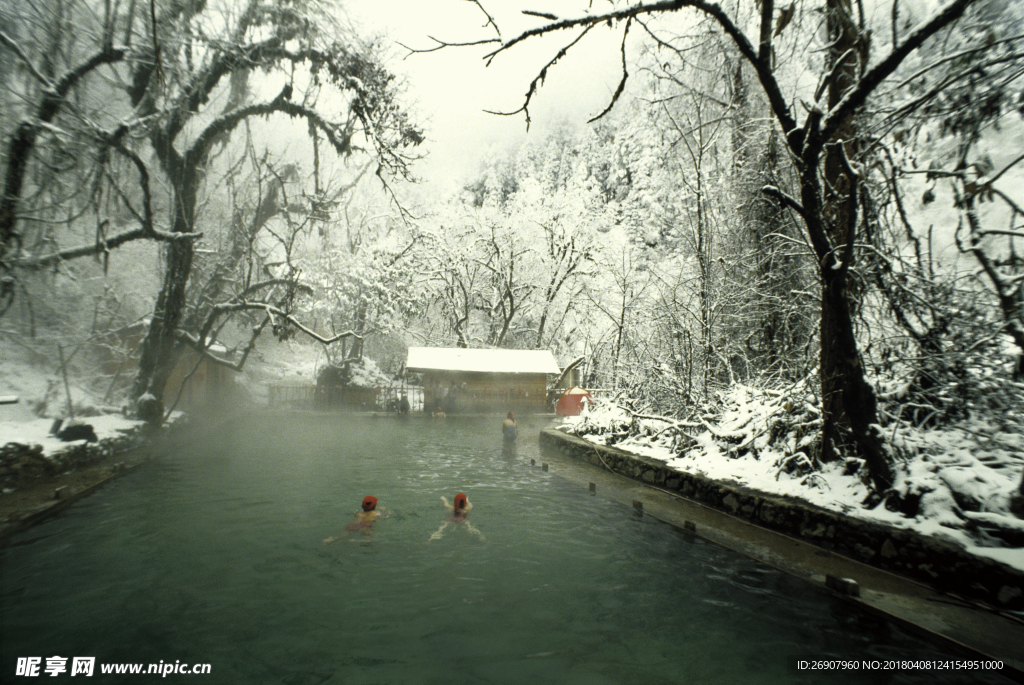 摄影作品 冬泳 温泉 雪 树