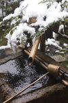 雪 水 松树枝 竹桶 流水