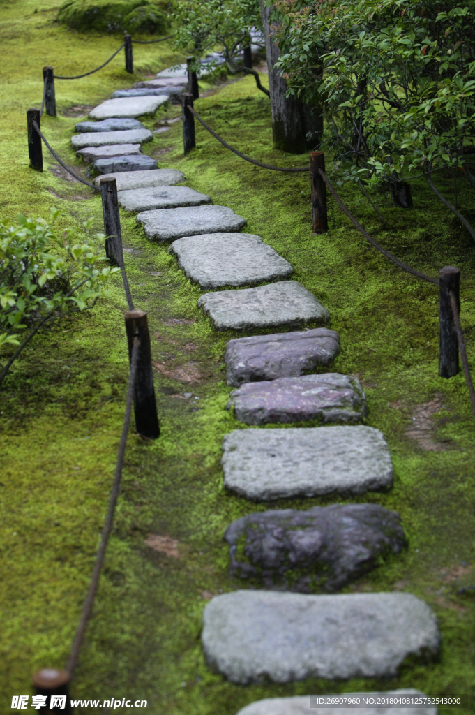园林 小路 草地 石阶