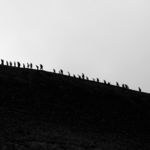 爬山 人群 排队 黑白